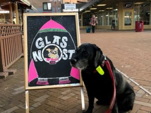 Dog at Glasnost Café