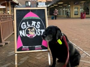 Hund på kafé (Glasnost Café)